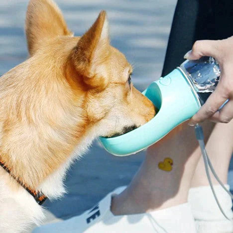 Botella Portátil Para Mascotas 4 en 1